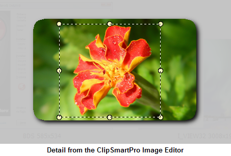 ClipSmartPro Image Editor selection frame