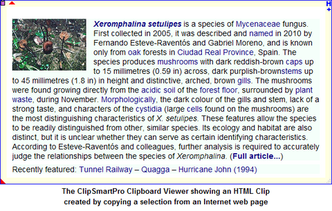 The ClipSmartPro Clipboard Viewer showing an HTML Clip created by copying a selection from an Internet web page