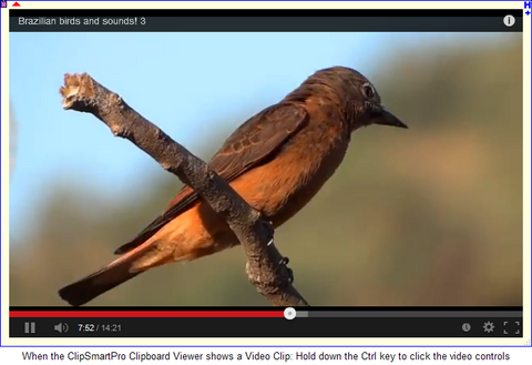 When the ClipSmartPro Clipboard Viewer shows a Video Clip: Hold down the Ctrl key to click the video controls